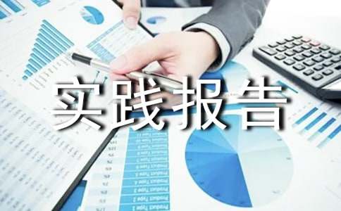 小学寒假社会实践报告