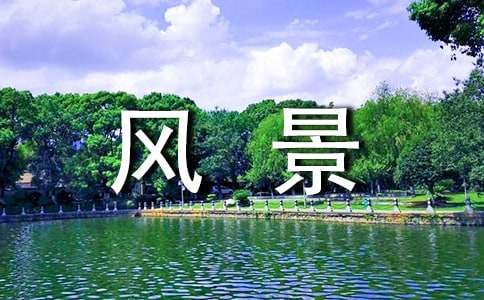 每个站点都有风景作文1000字（通用7篇）