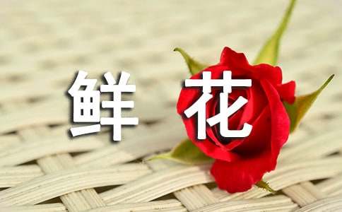 一束鲜花阅读题答案