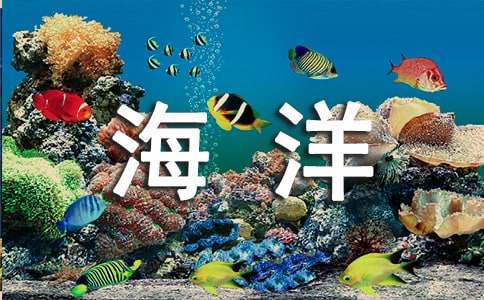 描写海洋的作文300字合集5篇