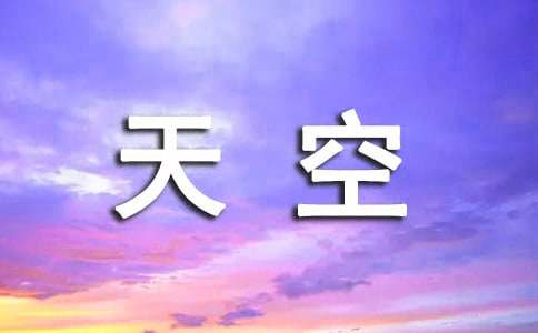 【热门】天空作文五篇