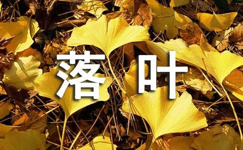 落叶归根作文(9篇)