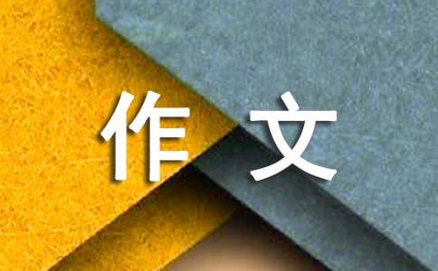 有关材料作文500字汇总10篇