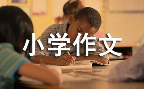 反思小学作文(精选15篇)