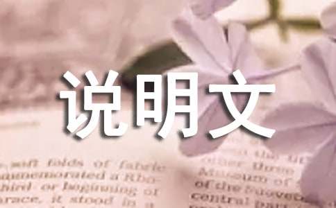 说明文作文300字集锦九篇