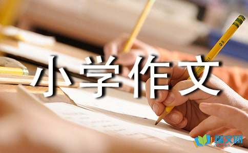 我的欧洲行小学作文