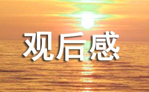 2022年《狙击手》观后感400字（通用6篇）