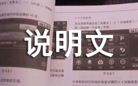 小学说明文：桥