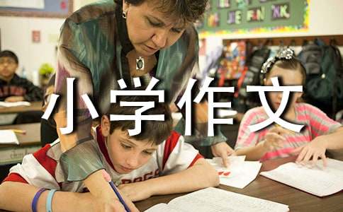 难忘的经历小学作文集锦15篇