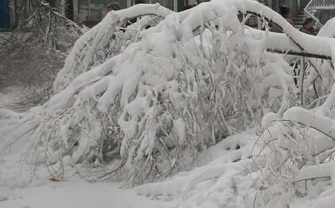 粮库冬季防冰雪灾害应急预案（通用5篇）