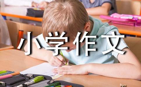 水小学作文(15篇)