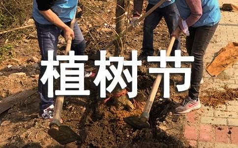 小学作文：植树节汇编15篇