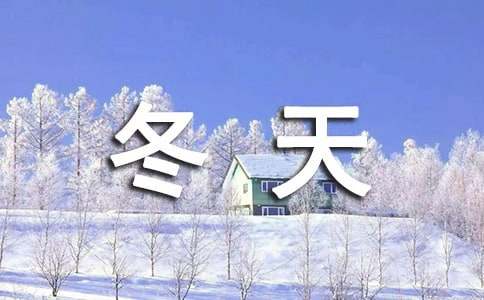 今年冬天的第一场雪作文