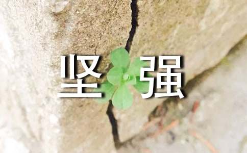 面对坚强作文(13篇)