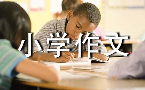 枫叶小学作文15篇