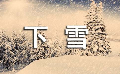 下雪了作文41篇