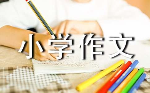 表妹小学作文集合15篇