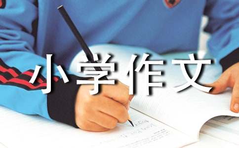 民风小学作文汇编15篇