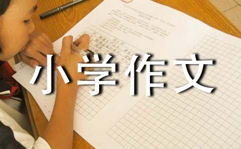 温暖小学作文(15篇)