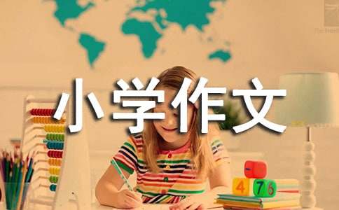 我发现了一个秘密小学作文7篇