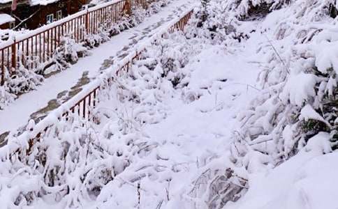 下雪堆雪人的作文8篇