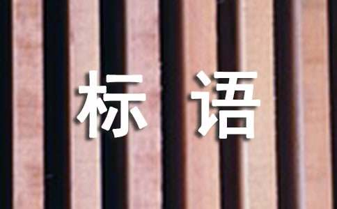 团队建设标语通用