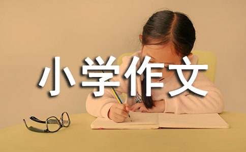 关爱小学作文(汇编15篇)