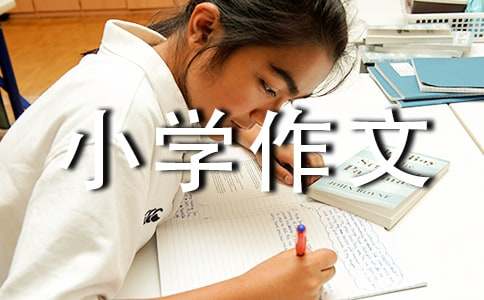 竞选小学作文(15篇)