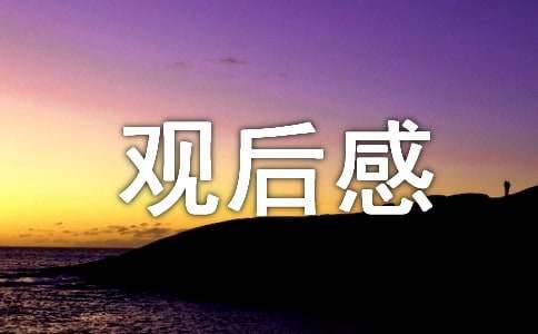 冬奥会观后感14篇