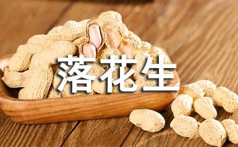 落花生读后感集合15篇