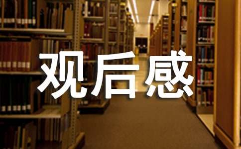 大国建造稳如磐石观后感500字（精选7篇）