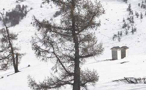 冬季防雪防滑应急预案范文（精选18篇）