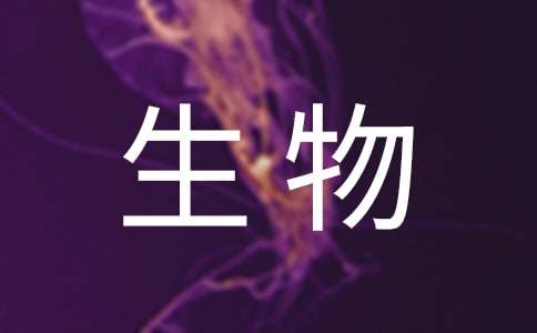 生物实验教学计划(15篇)