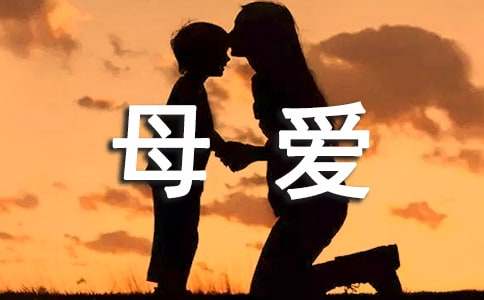 母爱无疆作文(11篇)