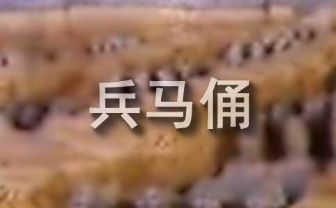 世界文化遗产兵马俑作文12篇