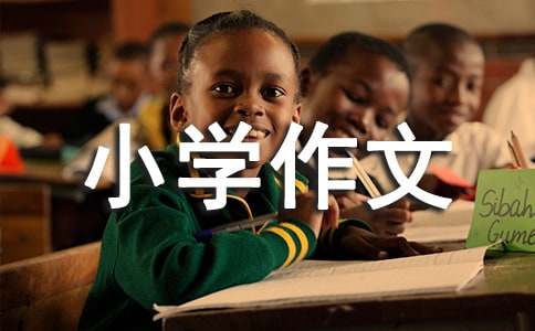 实用的小学作文500字9篇