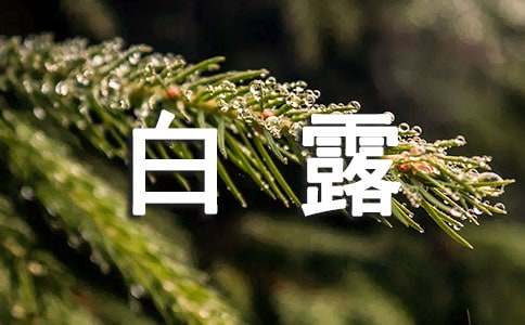 白露节气谚语集锦