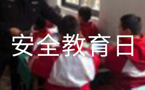 全国中小学生安全教育日活动总结(15篇)