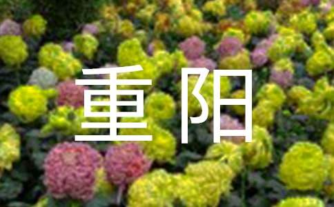 重阳敬老作文合集15篇