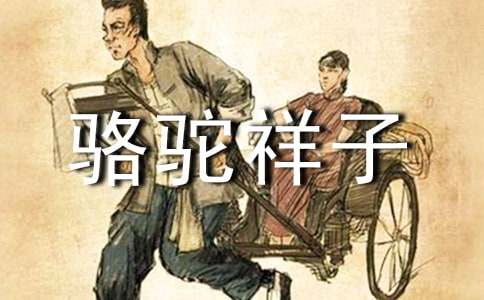 《骆驼祥子》读书笔记(合集15篇)