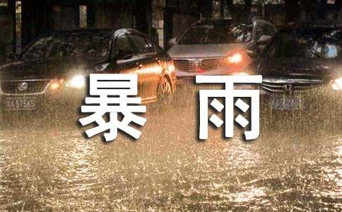 暴雨天气应急预案实用