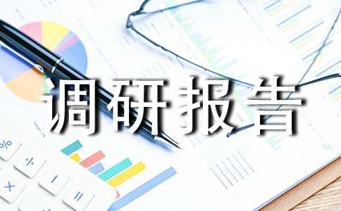 社会实践公德调研报告