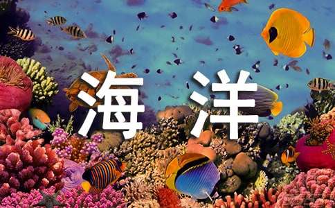 海洋作文300字汇编六篇