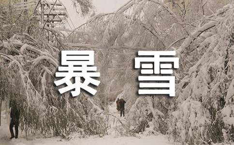 暴雪工程应急预案