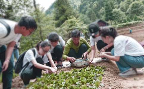 【精】大学生三下乡社会实践报告