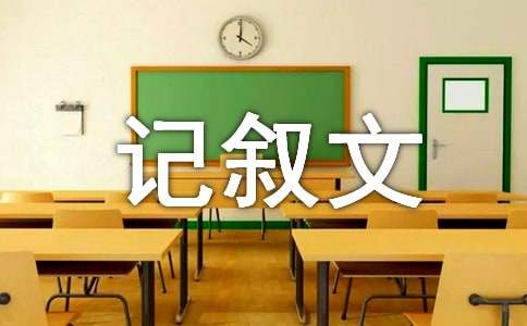 我和书记叙文15篇