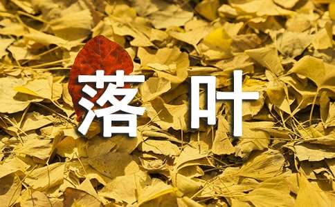 【精华】落叶的作文300字四篇