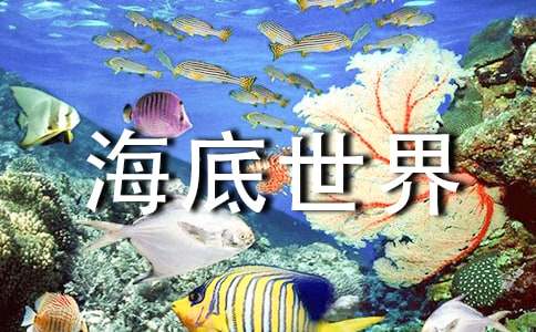 《海底世界》教学设计