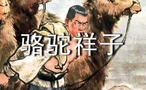 《骆驼祥子》观后感6篇