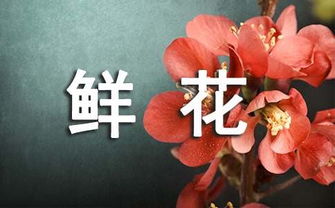 鲜花送给妈妈作文(10篇)